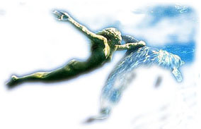 Dolphin angel