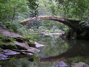 Bridge