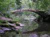 Bridge Bridge