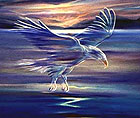 Eagle Spirit