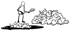 Story of Stuff