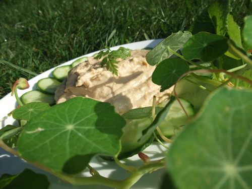Heavenly hummus dip
