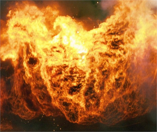 pheonix