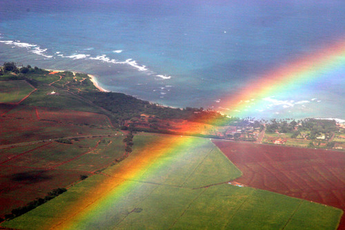 Seven rays of light