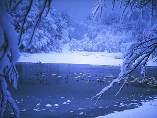 Winter