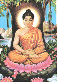 Buddha Consciousness | RM. Buddha Consciousness | RM.