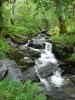 Welsh mountain stream