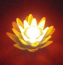 Pranawotiha's picture
