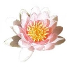 Bodhi's picture