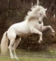 Vaso's picture