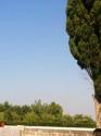 oleanna's picture