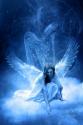 angel's picture