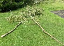 Avebury 2023: Fallen Branches