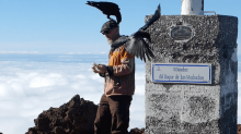 Ravens on the La Palma Volcano 2 with Openhand