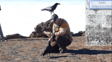 Ravens on the La Palma Volcano 3 with Openhand