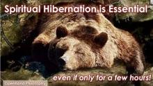 Importance of spiritual 'hibernation' with Openhand