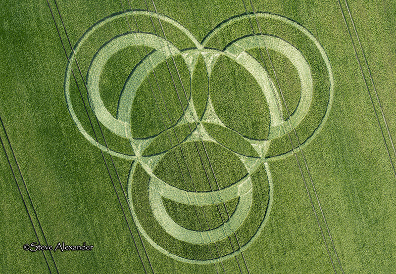 Crop Circle Hampshire