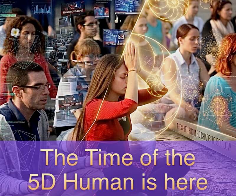 5D Human with Openhand