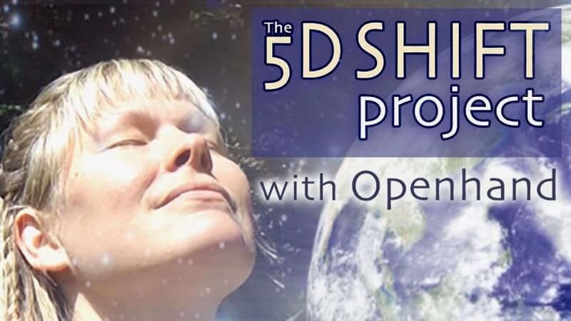 5D Shift Project with Openhand