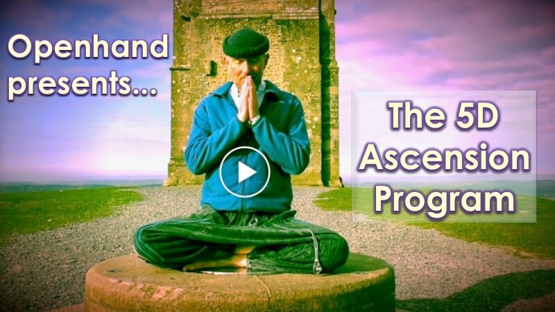 5D Ascension Program (play)