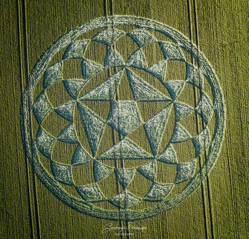 5D Cyrstalline Grid Crop Circle Intuited by Openhand