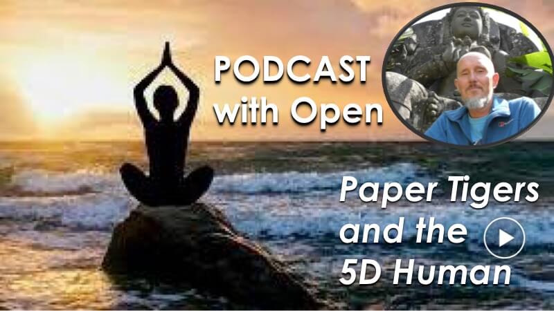 Paper Tigers and the 5D Human with Openhand