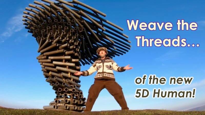 Weaving 5D Human with Openhand