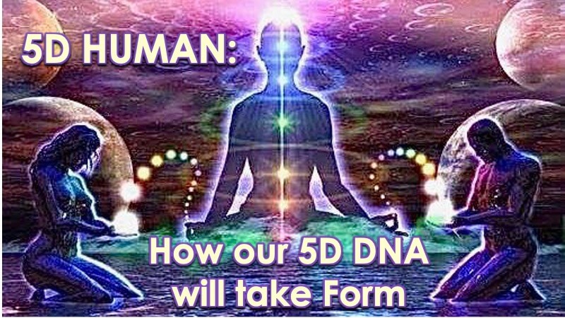 5D Human at Openhand