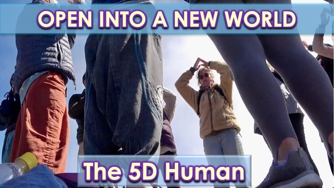 The 5D Human with Openhand