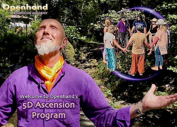5D Ascension Program | Openhand