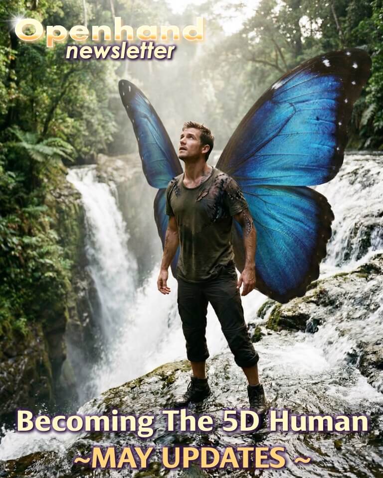 5D Human May Updates with Openhand