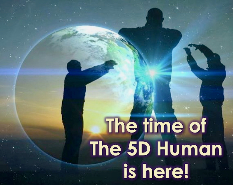 5D Human with Openhand