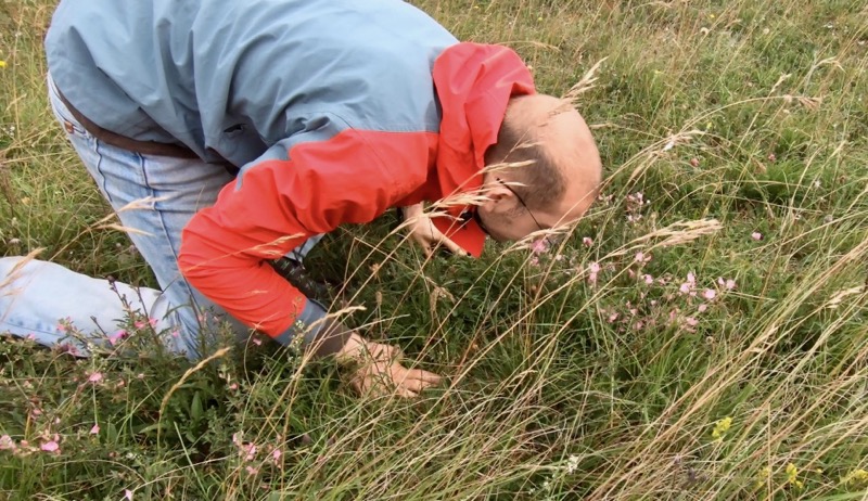 Avebury Summer School 19 - Alex