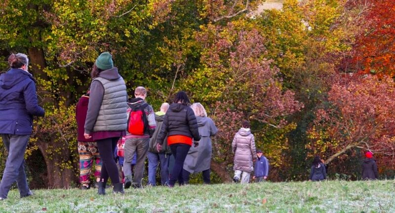 Gaia Pilgrimage: Autumn Trees