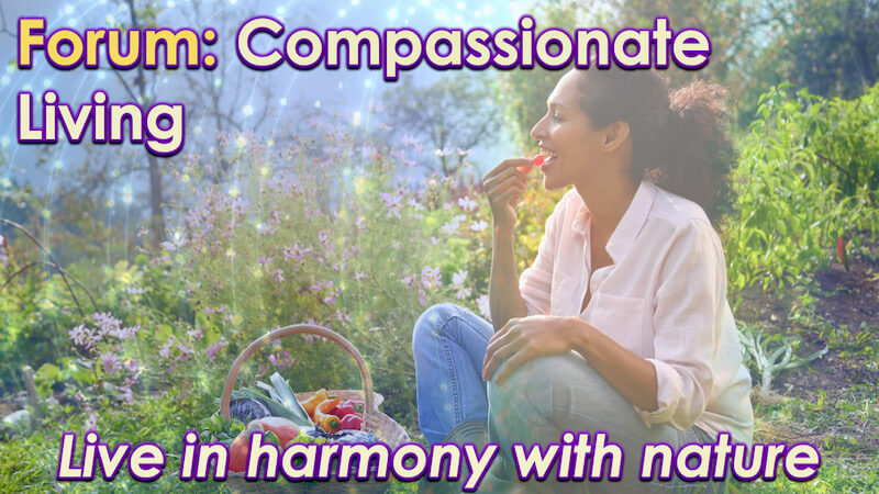Compassionate Living Forum with Openhand