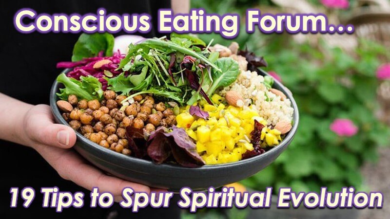 Conscious eating - 19 tips with Openhand
