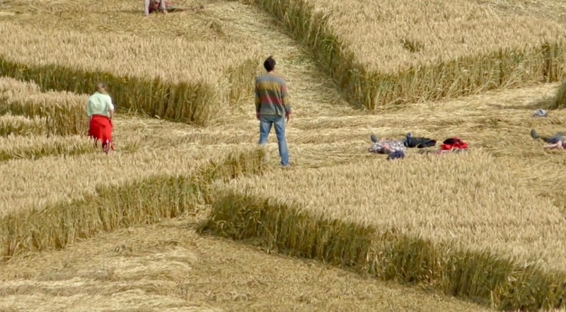 Avebury Summer School 19 - Crop Circle Rich