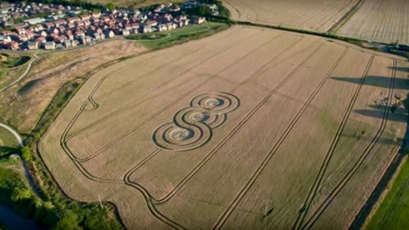 Crop Circle Lay Wood, Devizes 2022