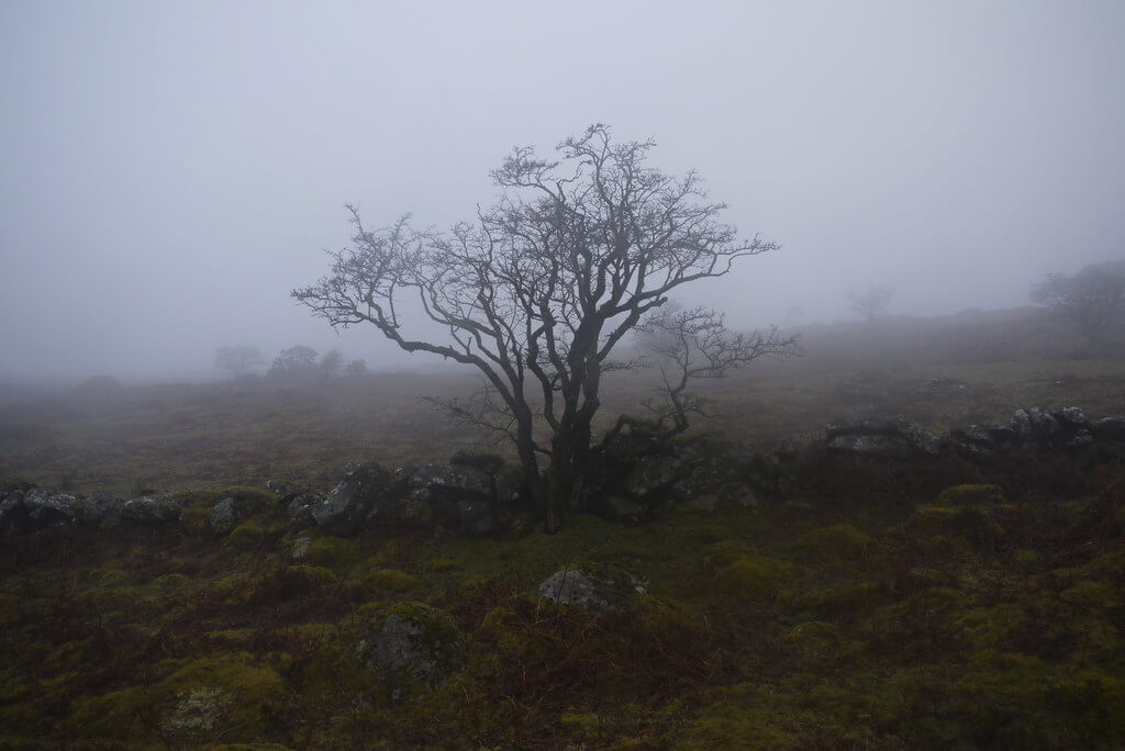 Camping on Dartmoor with Openhand