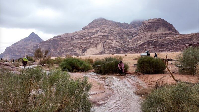 Arabia: Each Finding a Path by Openhand