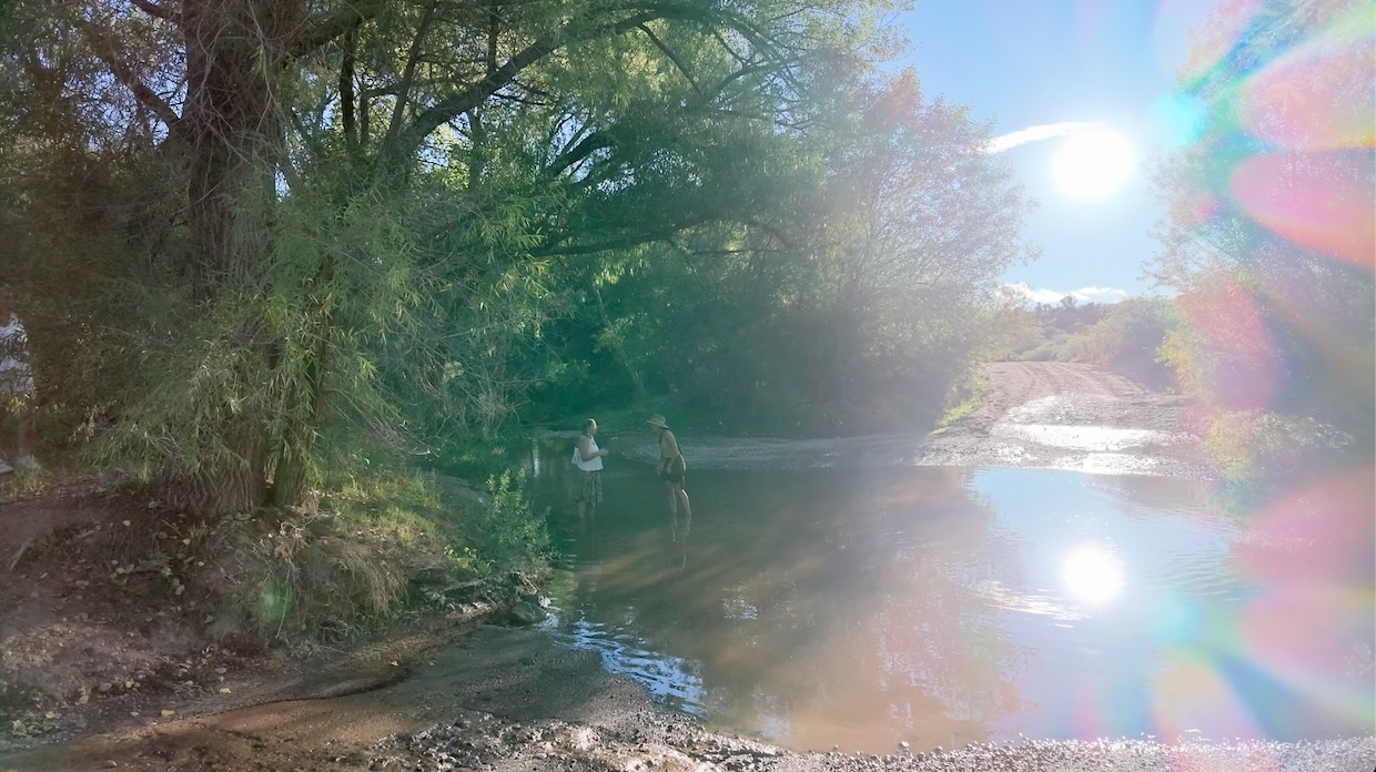 Sedona 26: Emotional Release | Openhand