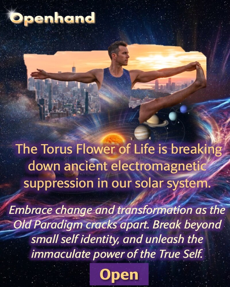 The Flower of Life is Breaking Through | Openhand The Flower of Life is Breaking Through | Openhand