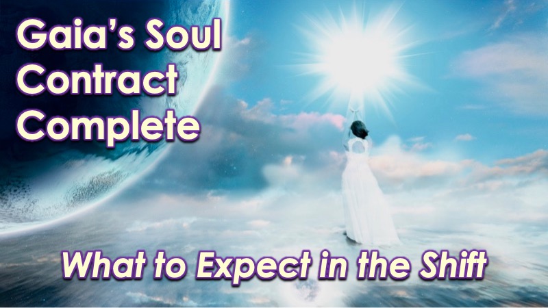 Gaia's Soul Contract