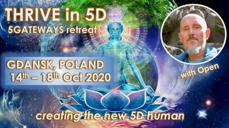 Thrive in 5D in Poland with Openhand