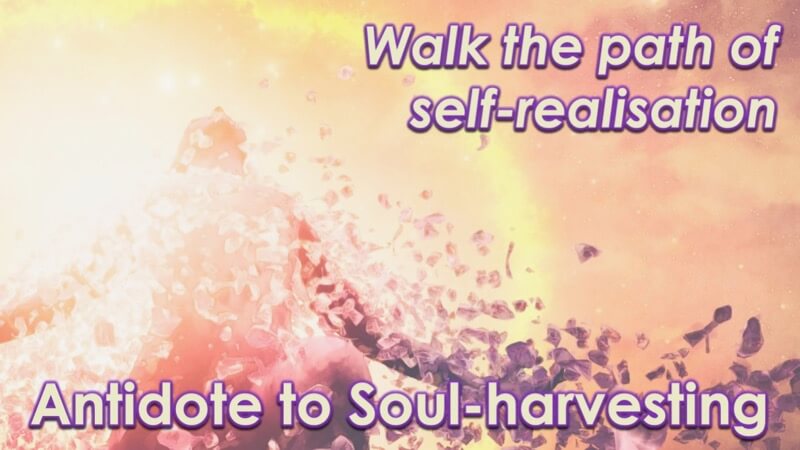 Overcoming Soul Harvesting