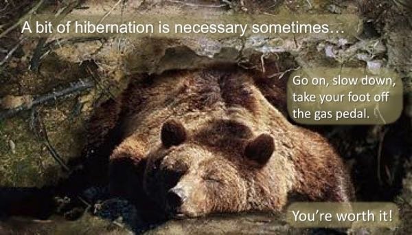 Hibernation