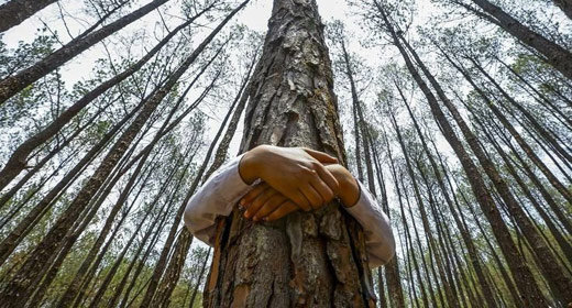 Hug a Tree with Openhand (Photo Credit: Alanna Ketler for Awaken.com)