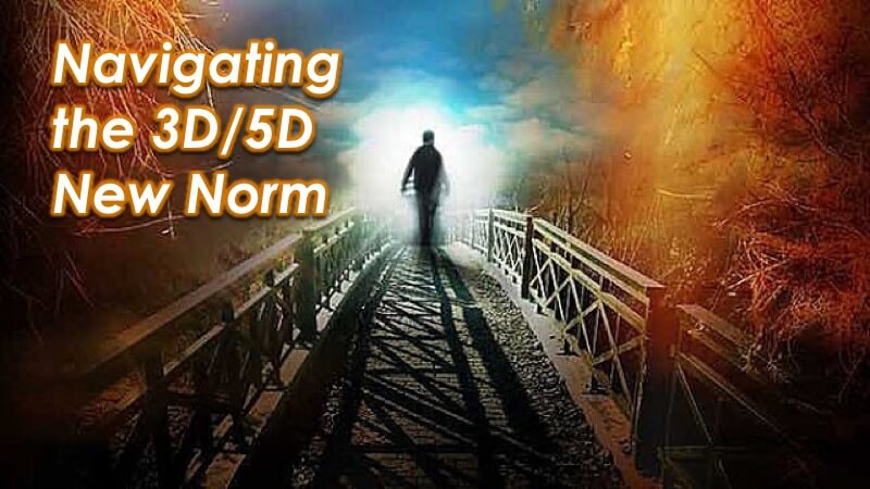 The 3D/5D New Norm in Society