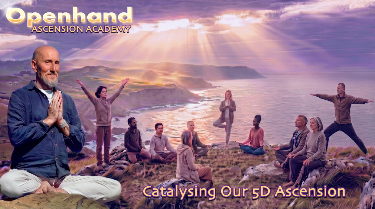 New Openhandweb design 2026 | Openhand New Openhandweb design 2026 | Openhand