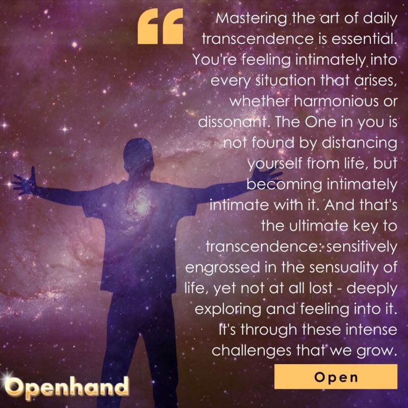 Transcendence with Openhand